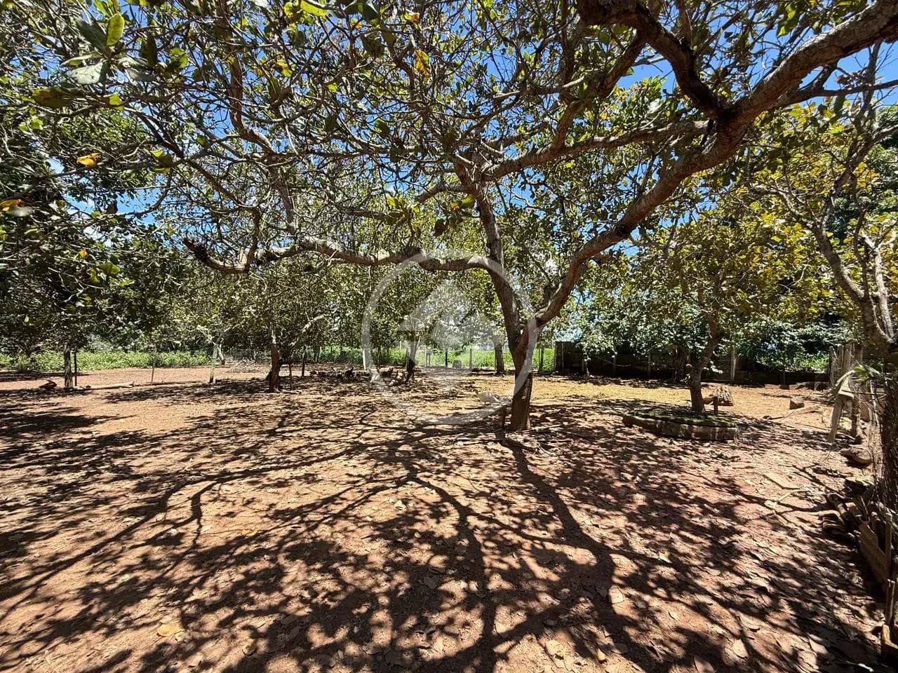 Chácara Zona Rural, Hidrolândia - GO — foto 2