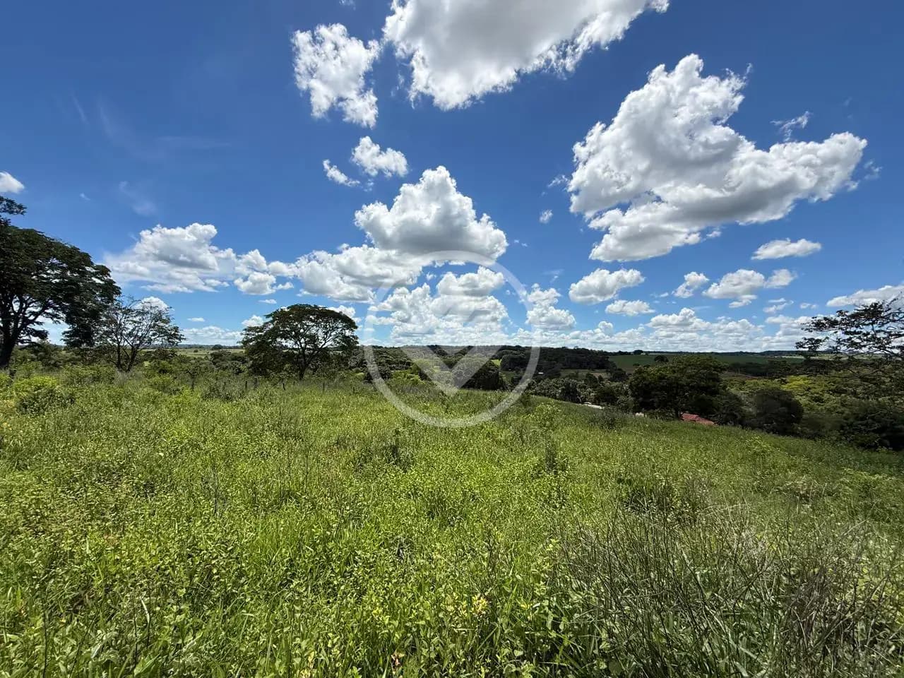 Chácara no Zona Rural, Hidrolândia — foto 4 de 6