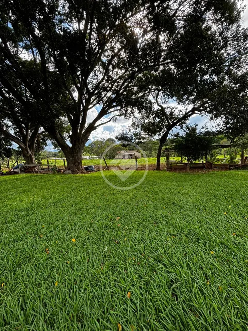 Chácara no santa maria, Hidrolândia — foto 3 de 6