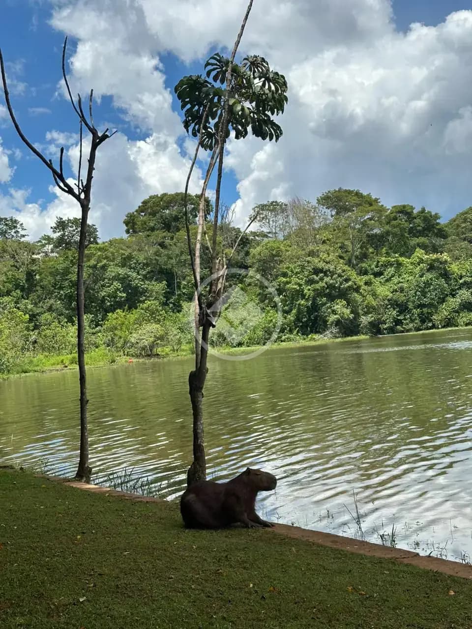 Terreno no Condomínio Águas da Serra, Hidrolândia — foto 3 de 6