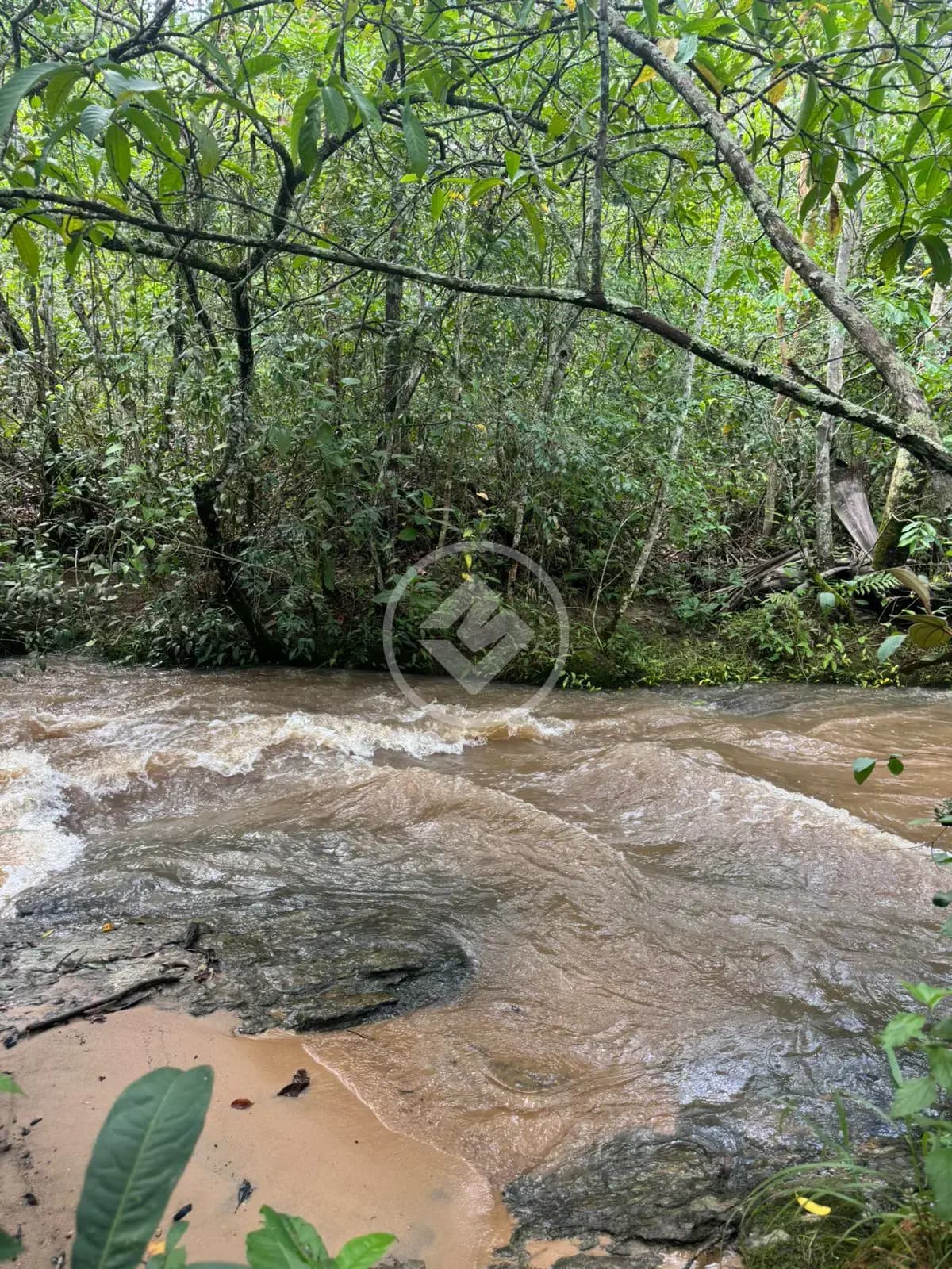 Fazenda Zona Rural Hidrolandia, Hidrolândia - GO — foto 2