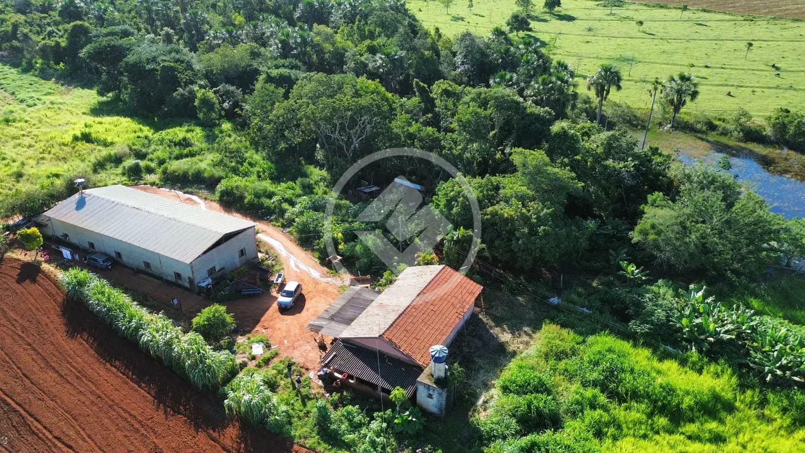 Sítio Savannah, Hidrolândia - GO — foto 2
