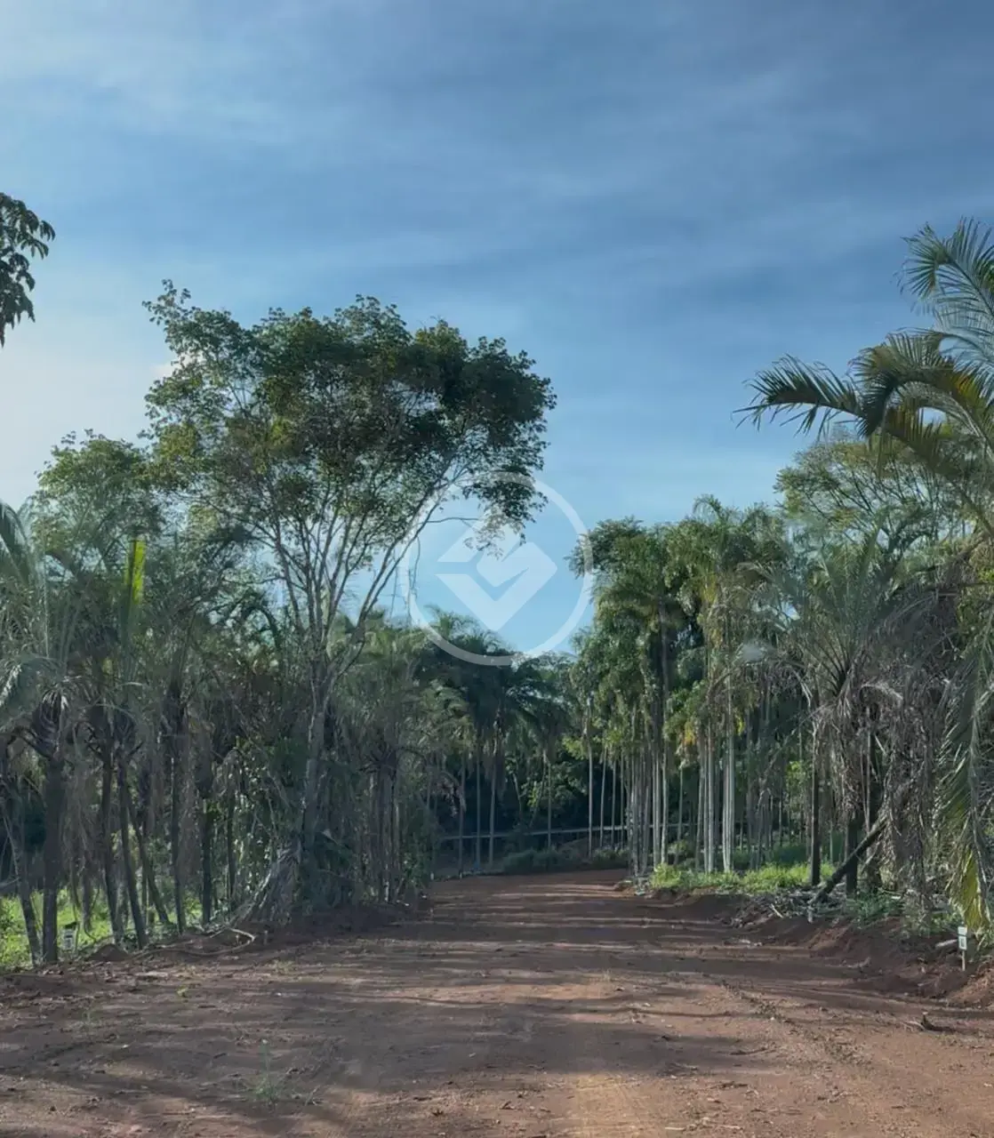 Chácara no Triângulo três, Hidrolândia — foto 3 de 6