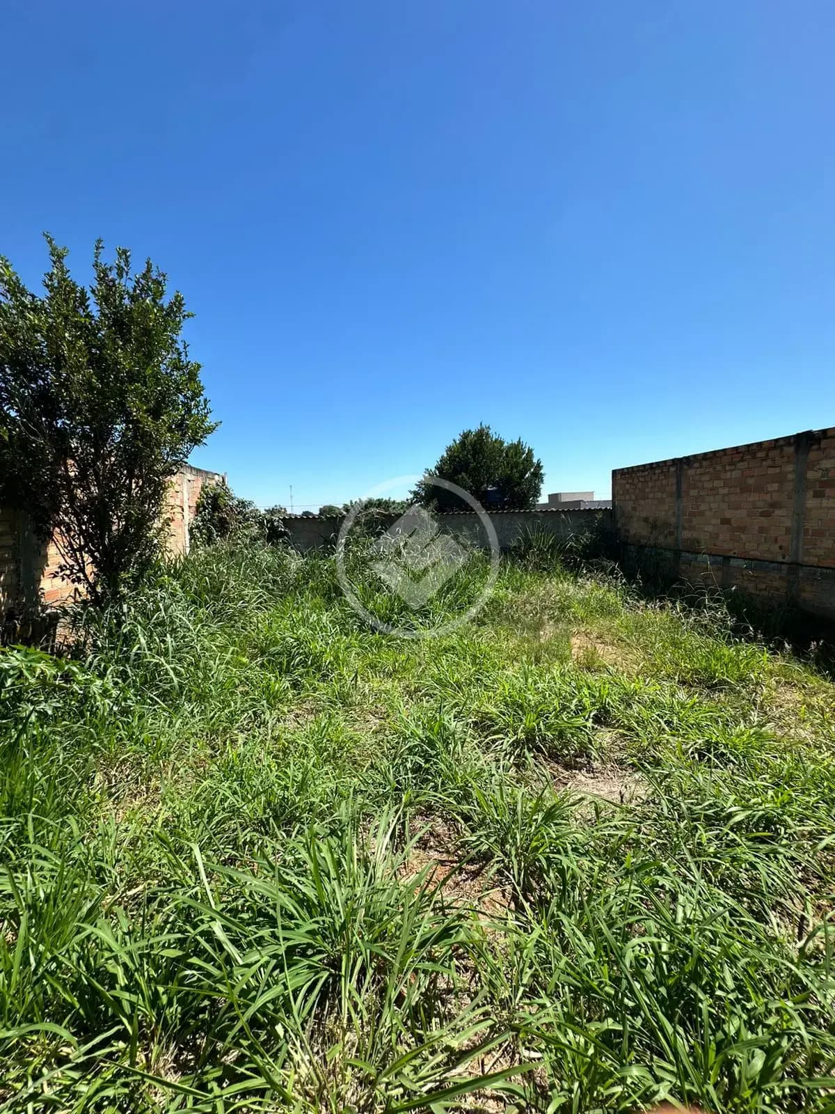 Casa 2 quartos no Village dos Ipês, Hidrolândia — foto 6 de 6