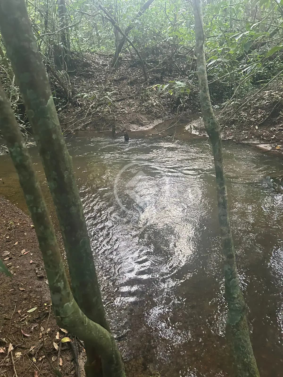 Chácara santa maria, Hidrolândia - GO — foto 2
