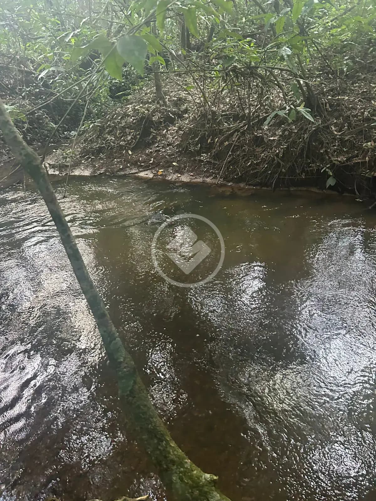 Chácara no santa maria, Hidrolândia — foto 3 de 6