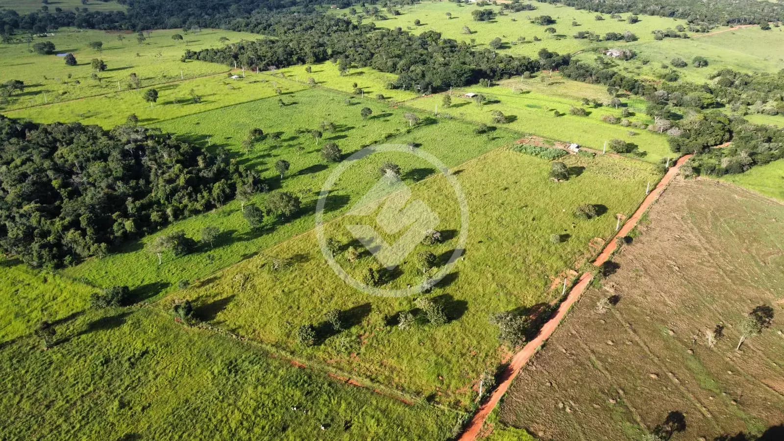 Chácara Região São Brás, Hidrolândia - GO — foto 2