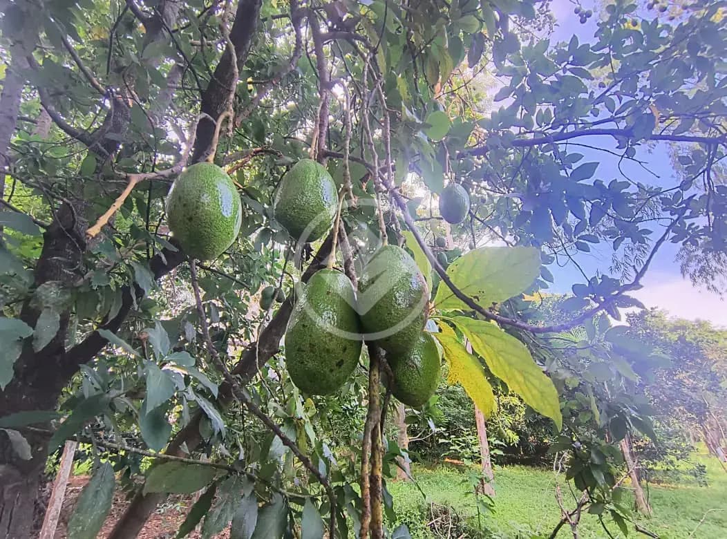 Terreno Condomínio no Condomínio Estância das Águas, Hidrolândia — foto 6 de 6