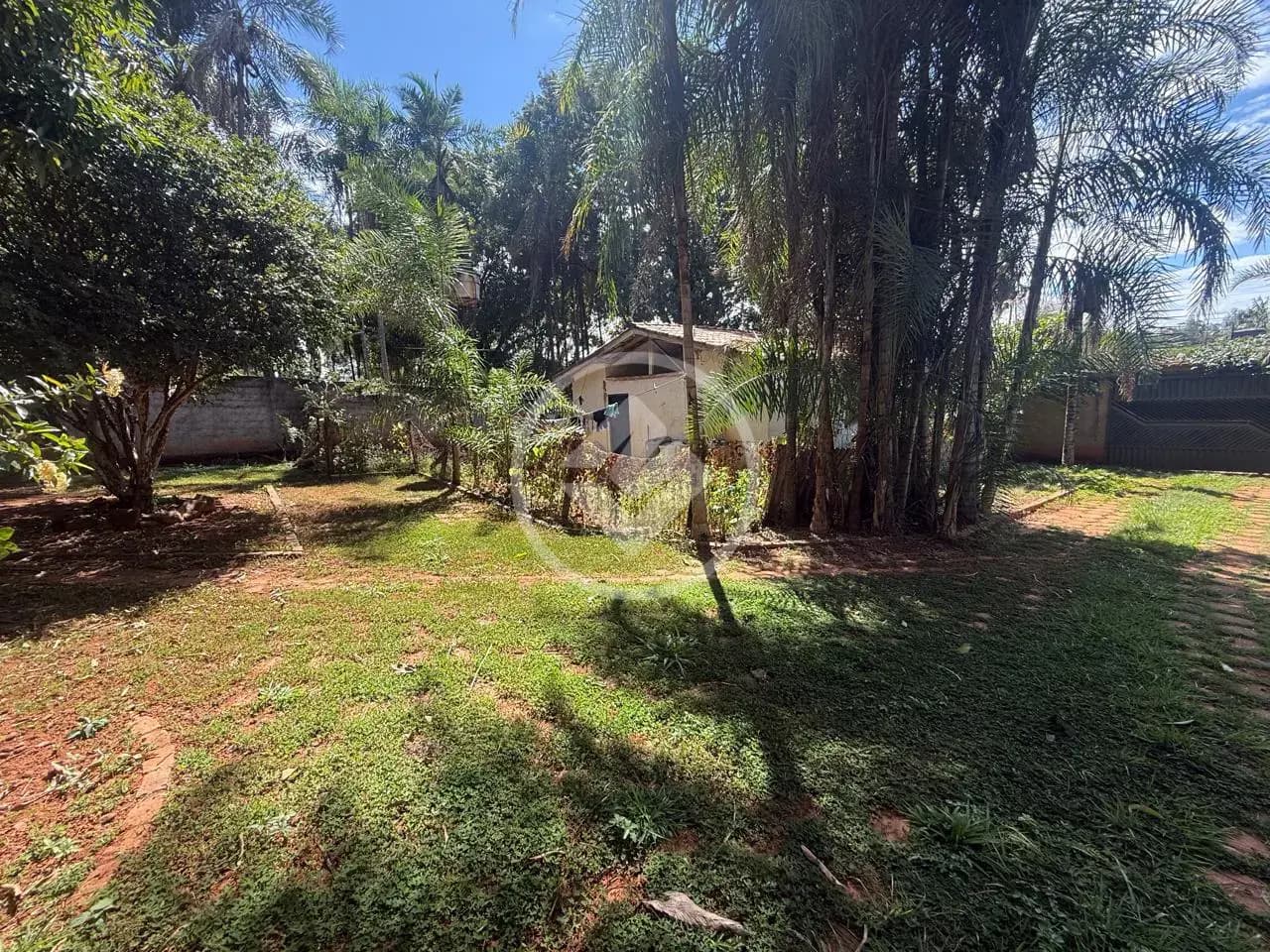 Casa 5 quartos no Vila Grimpas, Hidrolândia — foto 5 de 6