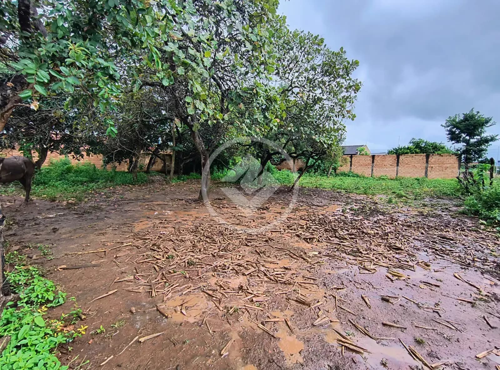Terreno Villa Deifiore, Aparecida de Goiânia - GO — foto 1