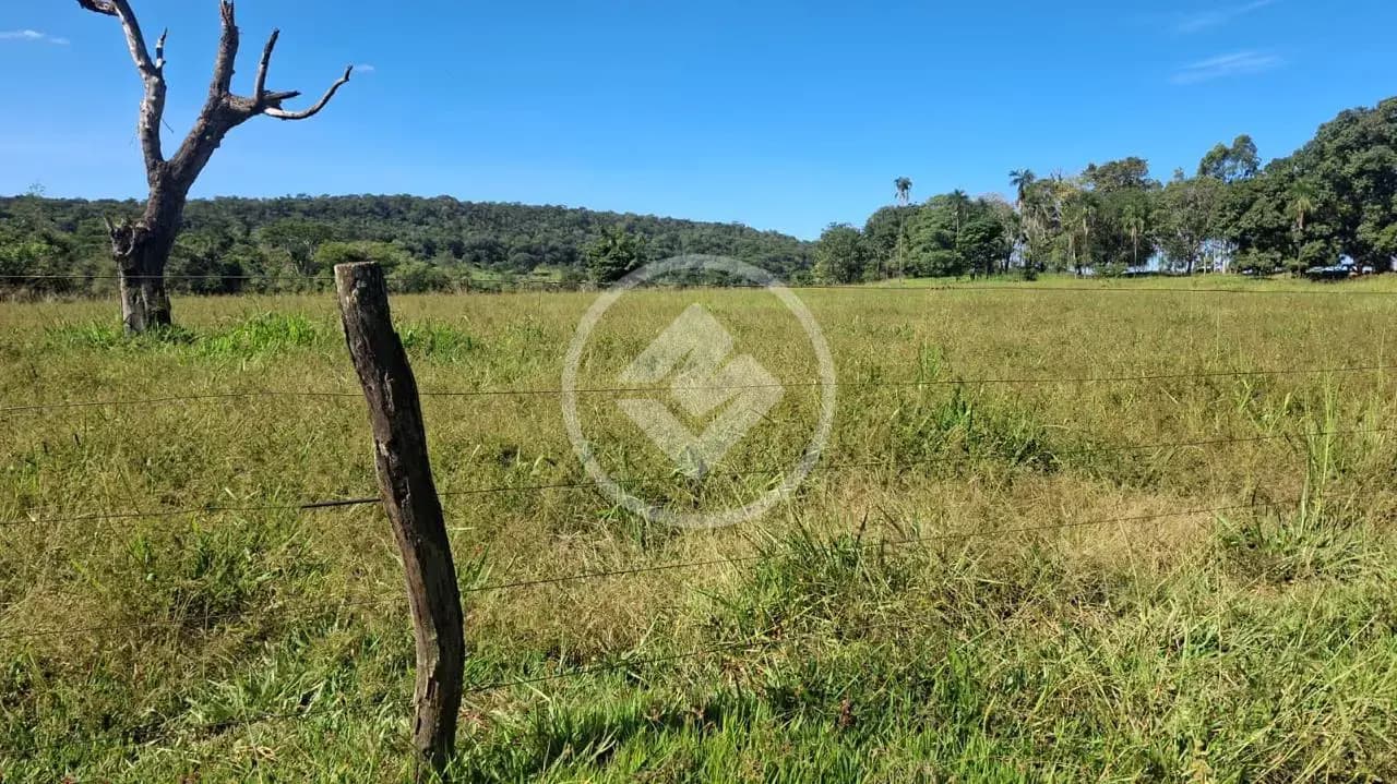 Fazenda Área Rural de Caldas Novas, Caldas Novas - GO — foto 2