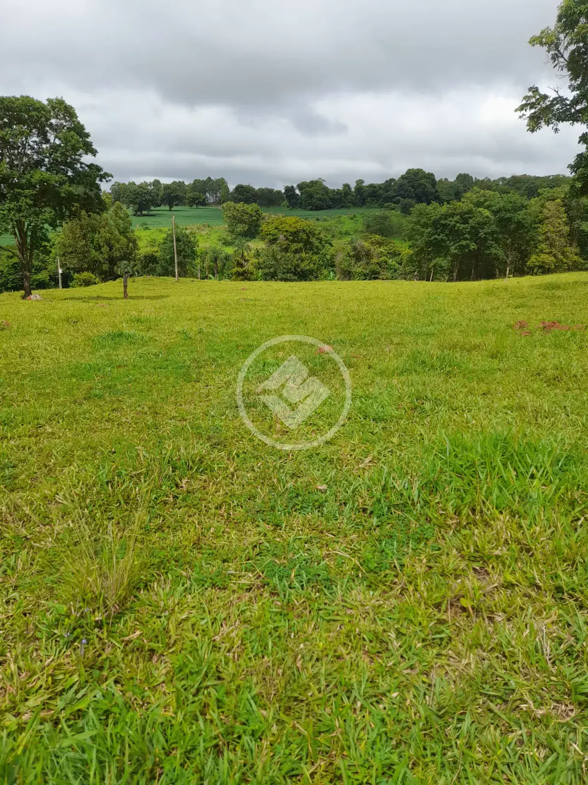 Chácara Zona Rural, Bela Vista de Goiás - GO — foto 2
