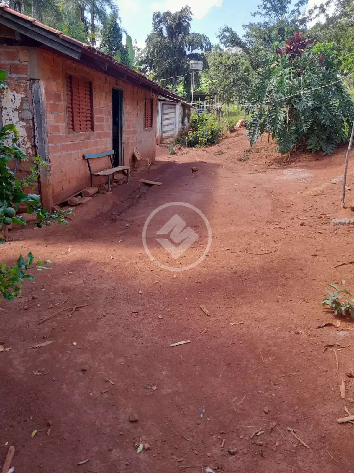 Chácara no Zona Rural, Bela Vista de Goiás — foto 4 de 6