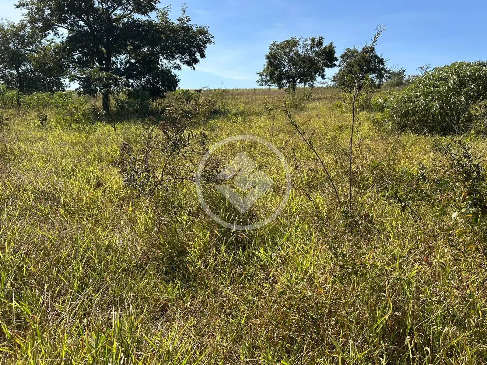 Chácara no Zona Rural, Bela Vista de Goiás — foto 5 de 6