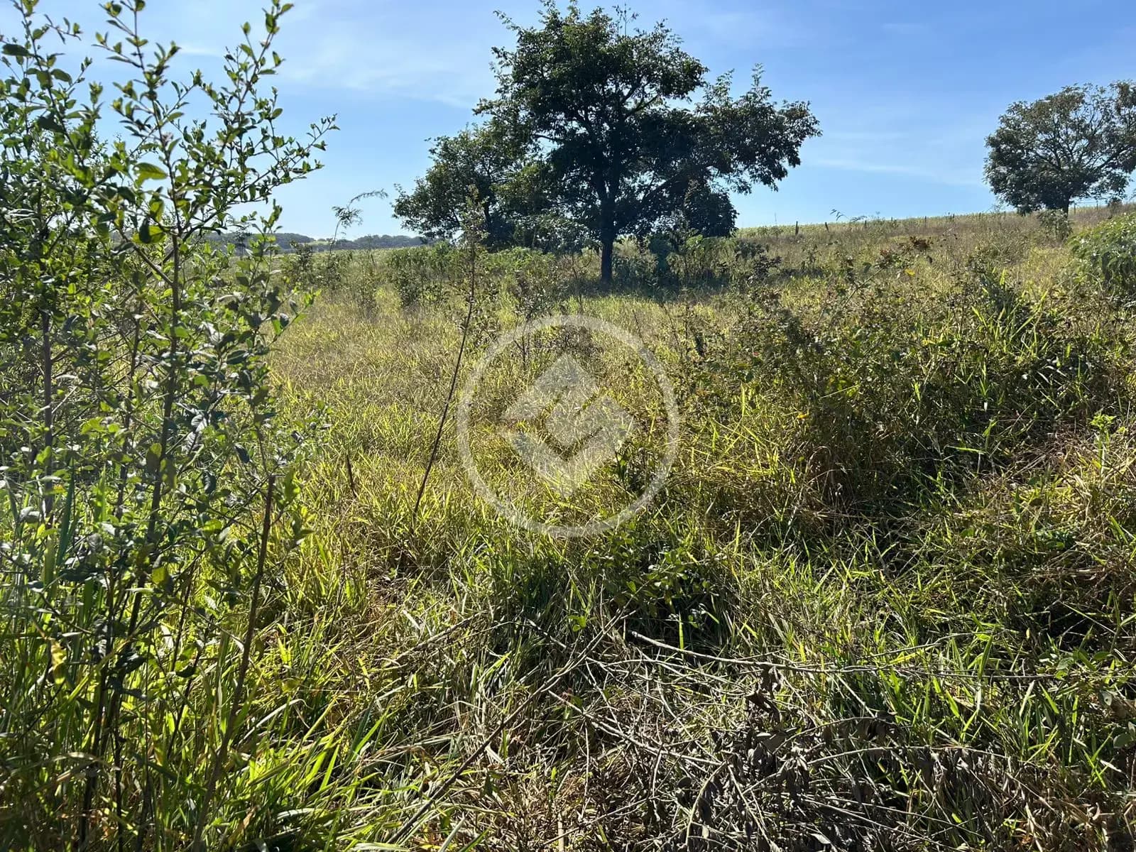 Chácara no Zona Rural, Bela Vista de Goiás — foto 3 de 6