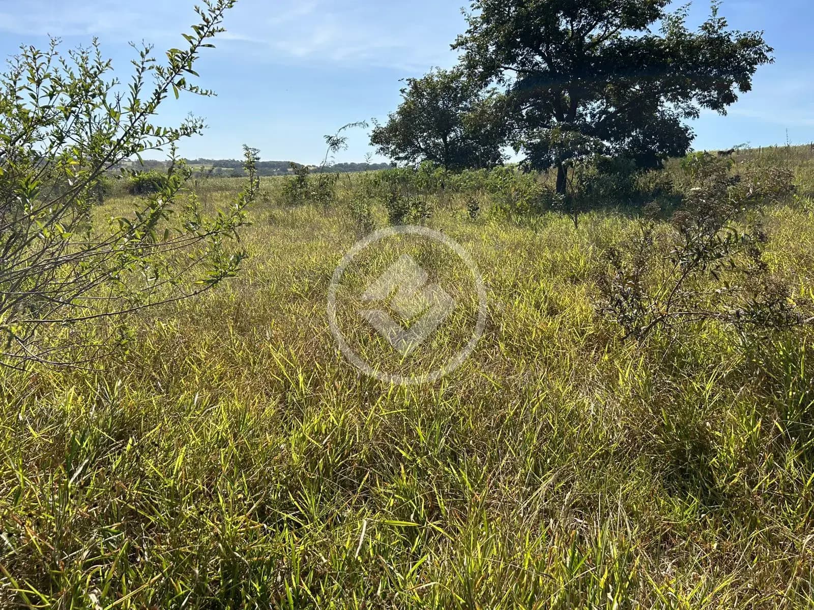 Chácara no Zona Rural, Bela Vista de Goiás — foto 6 de 6