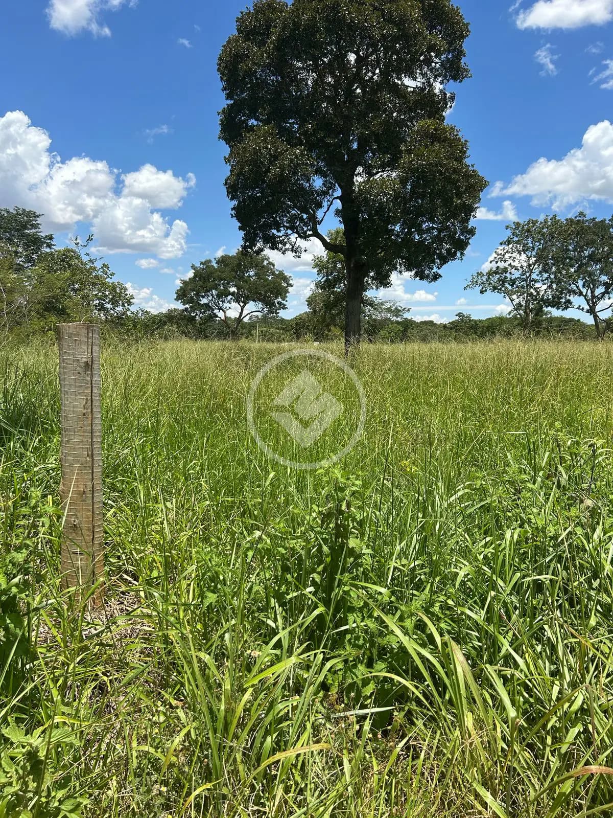 Chácara no Zona Rural, Hidrolândia — foto 6 de 6