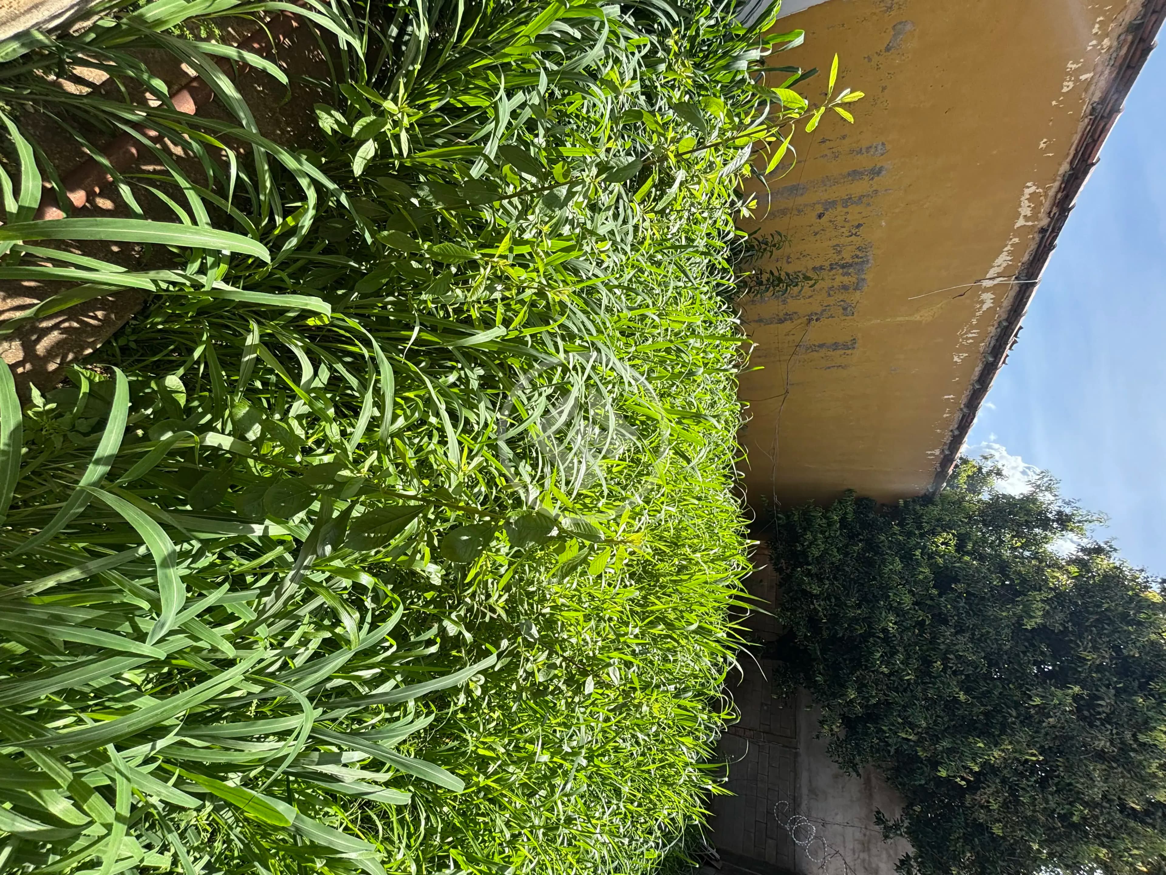 Terreno no Setor Central, Aparecida de Goiânia — foto 6 de 6