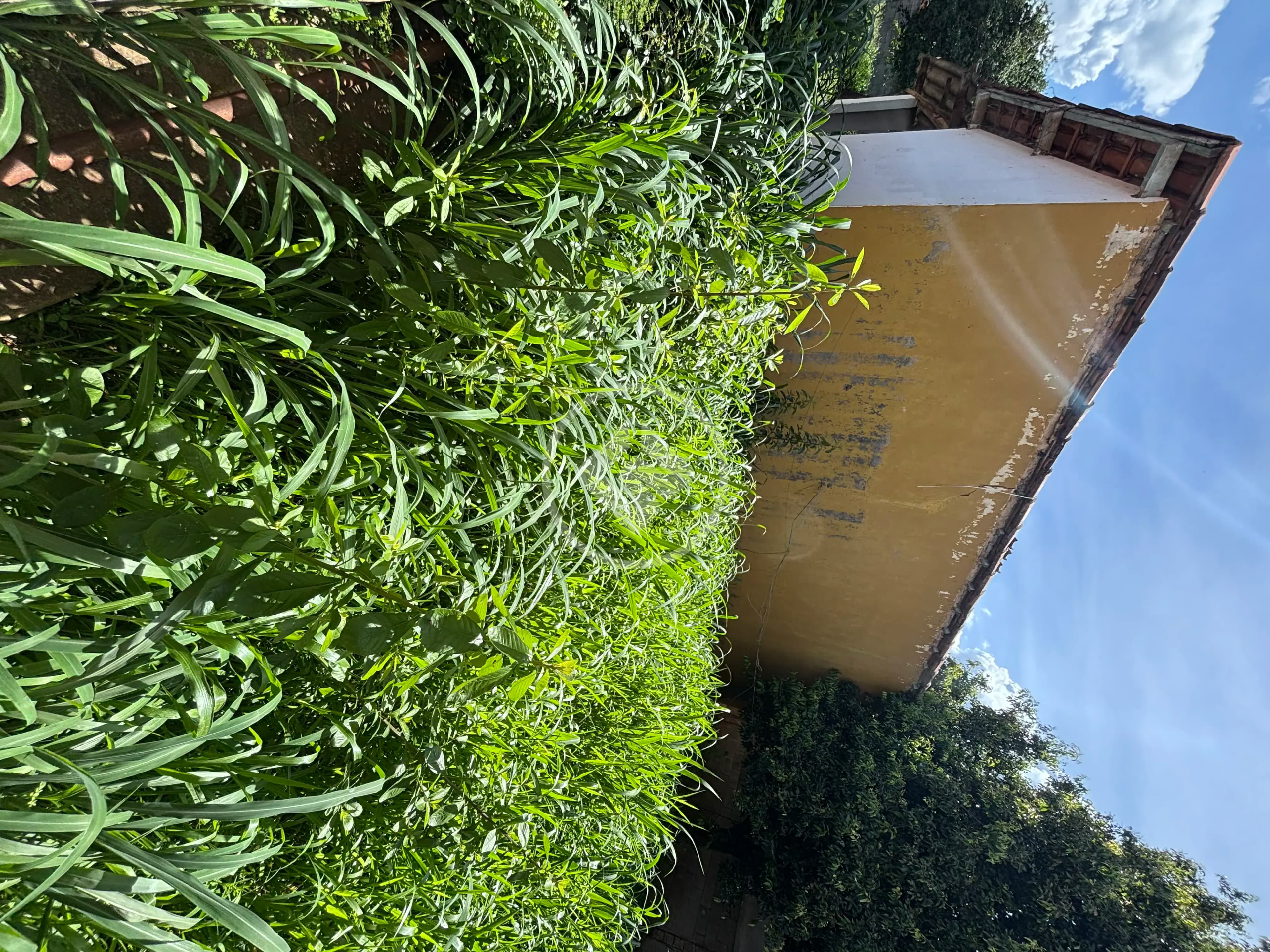 Terreno no Setor Central, Aparecida de Goiânia — foto 5 de 6