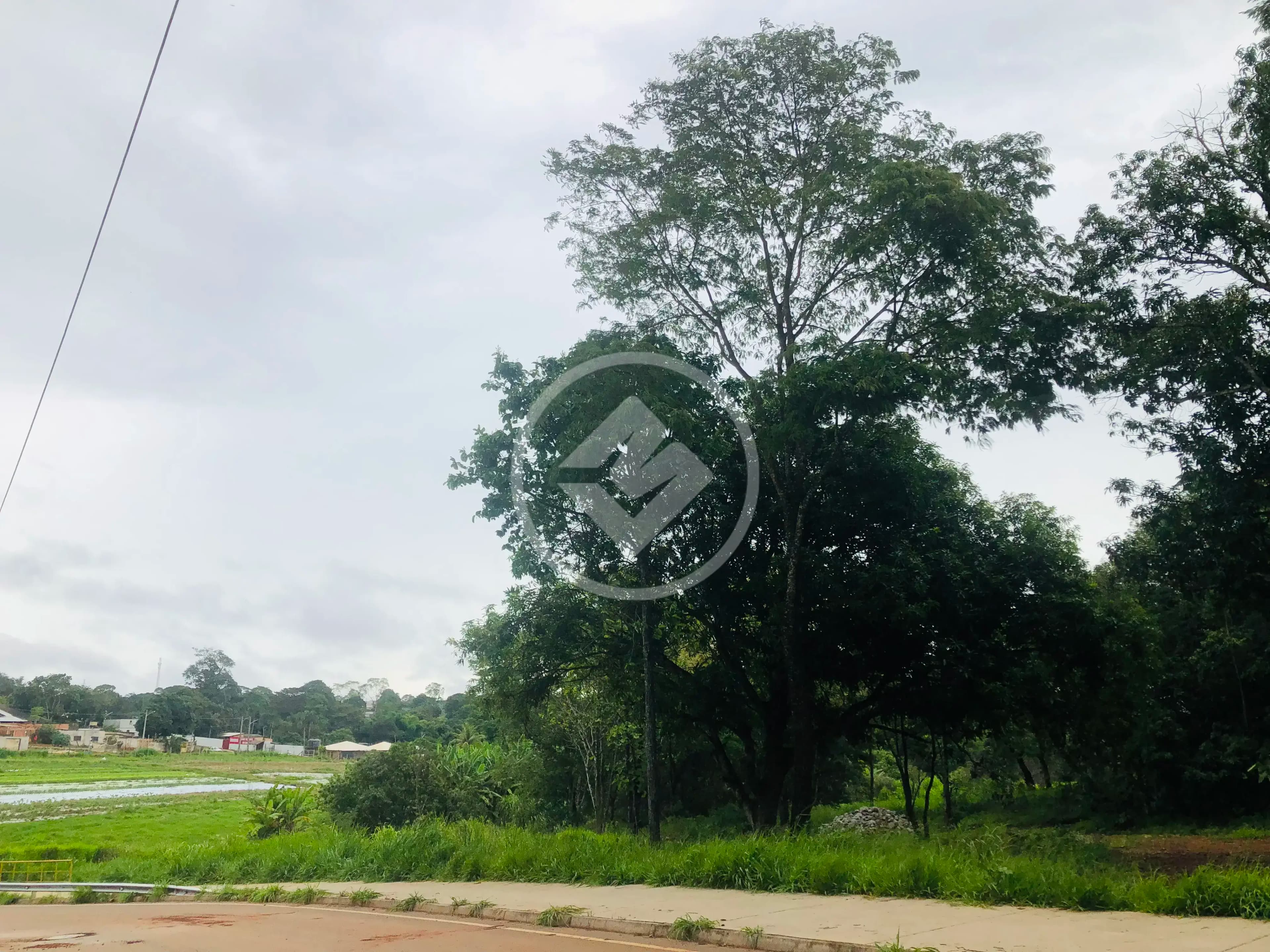 Terreno no Pontal Sul - Acréscimo, Aparecida de Goiânia — foto 3 de 4