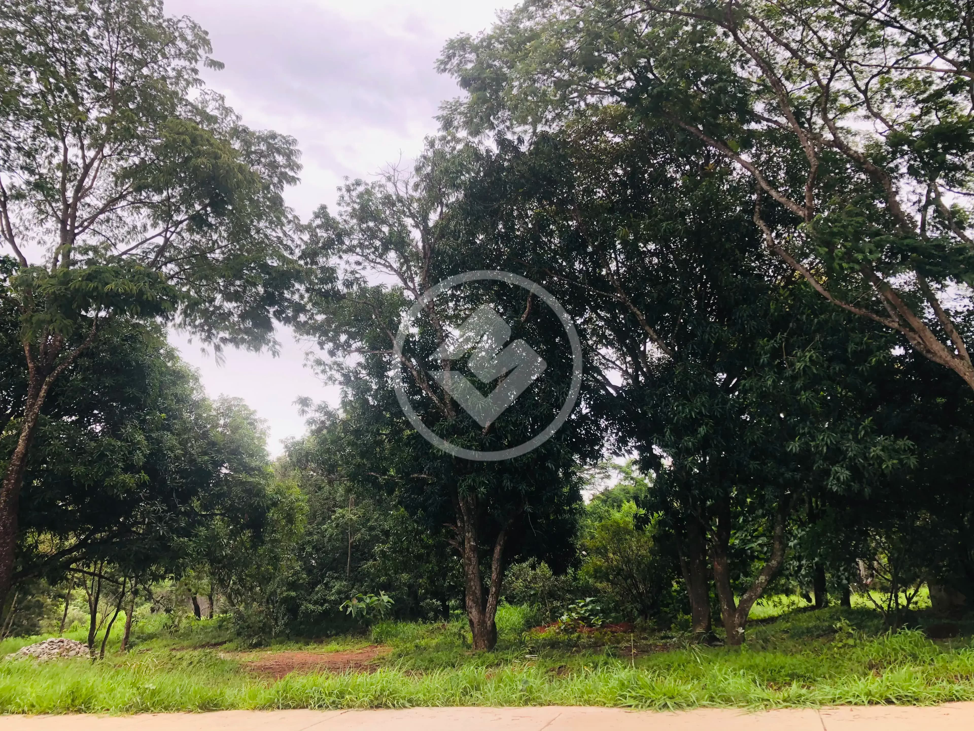 Terreno no Pontal Sul - Acréscimo, Aparecida de Goiânia — foto 2 de 4
