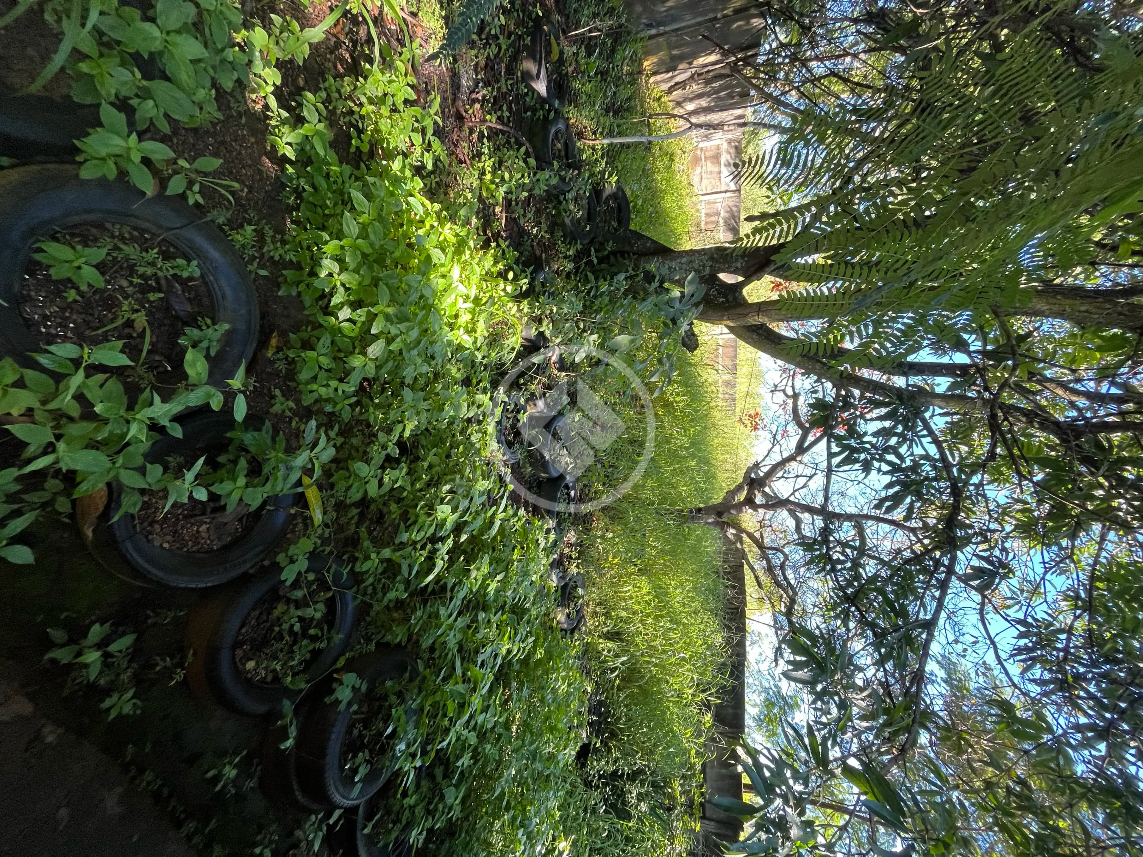 Casa 2 quartos no Jardim Dom Bosco, Aparecida de Goiânia — foto 6 de 6