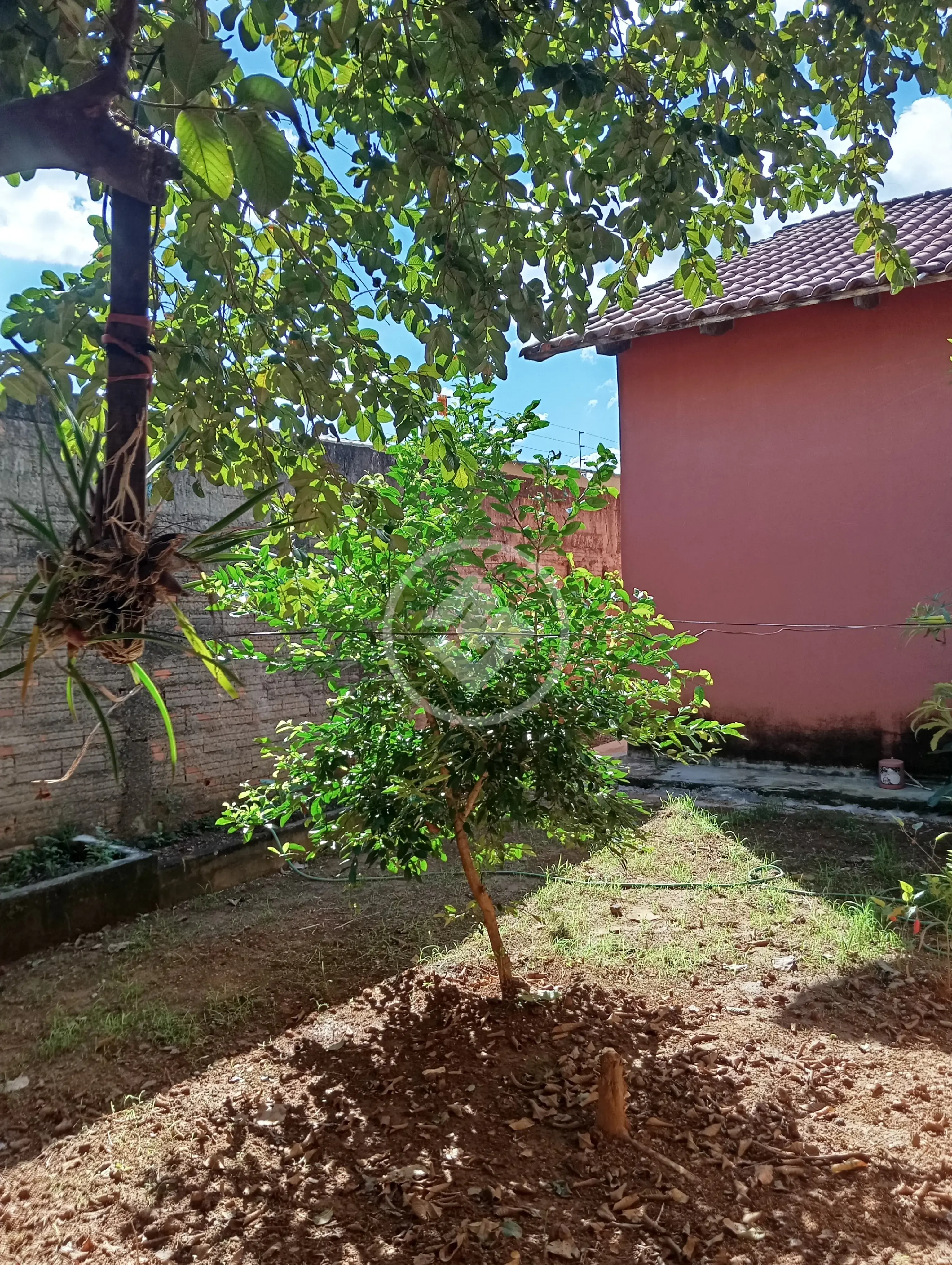 Casa 2 quartos no Residencial Itaipu, Goiânia — foto 6 de 6