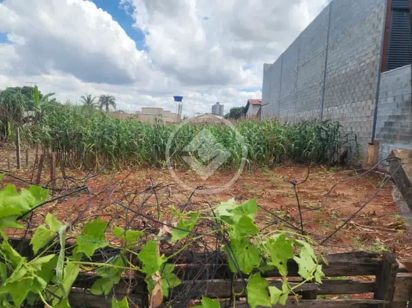 Terreno Comercial no Setor Ocidente da Vila Brasília, Aparecida de Goiânia — foto 5 de 5