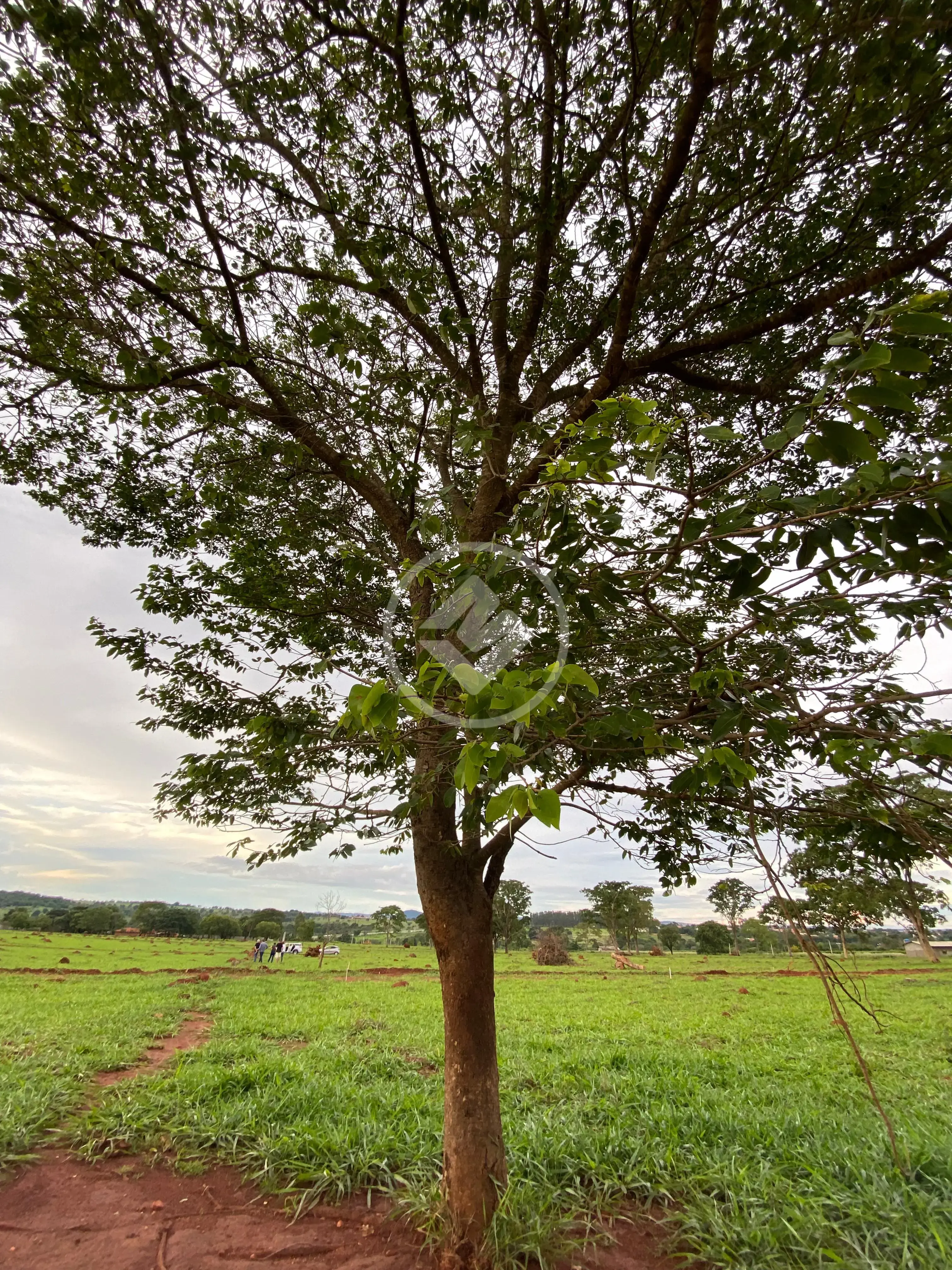 Terreno Condomínio no Cidade Nova de Guapo 2 Parte, Guapó — foto 6 de 6