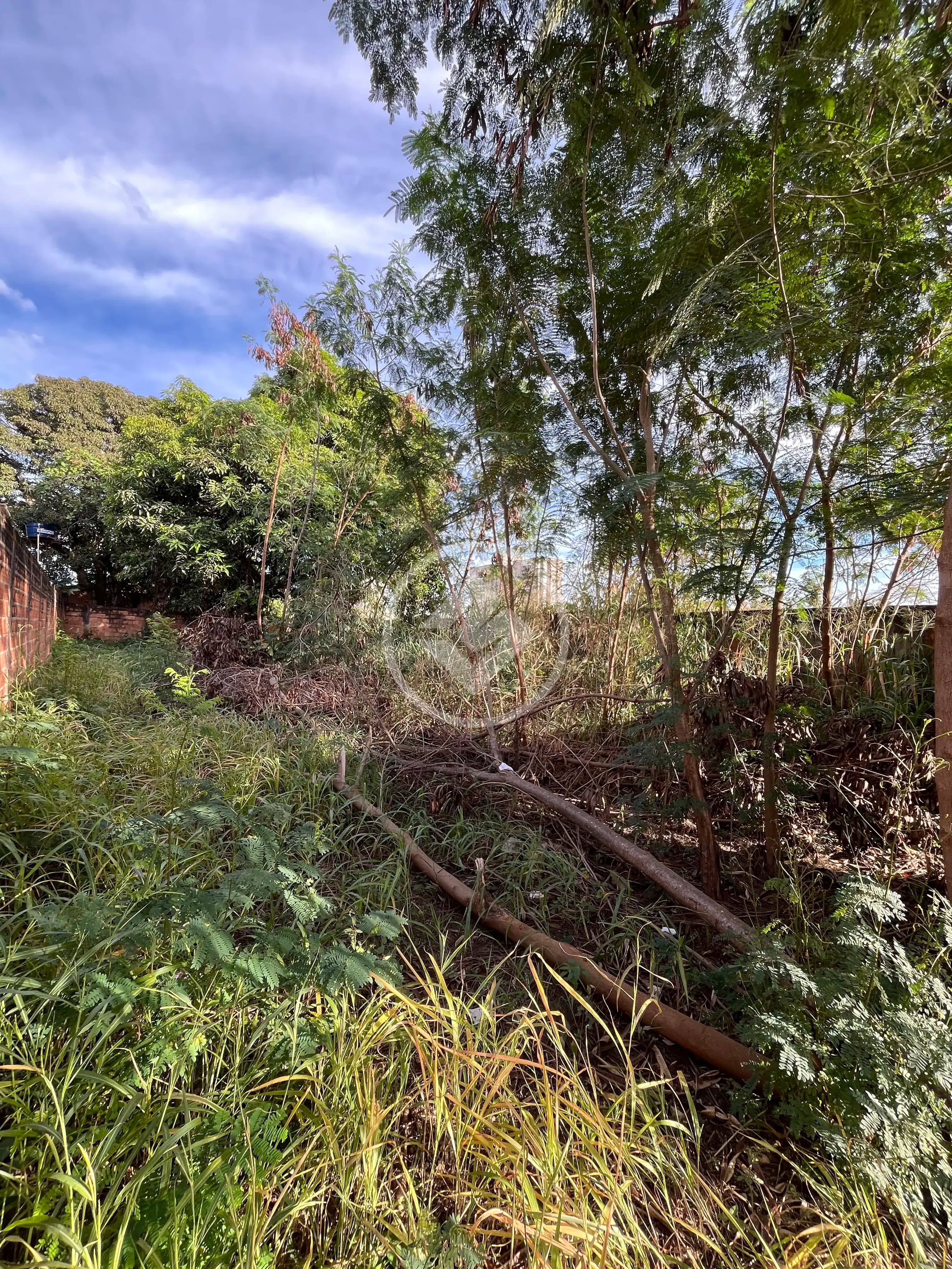 Terreno Setor Conde dos Arcos, Aparecida de Goiânia - GO — foto 2