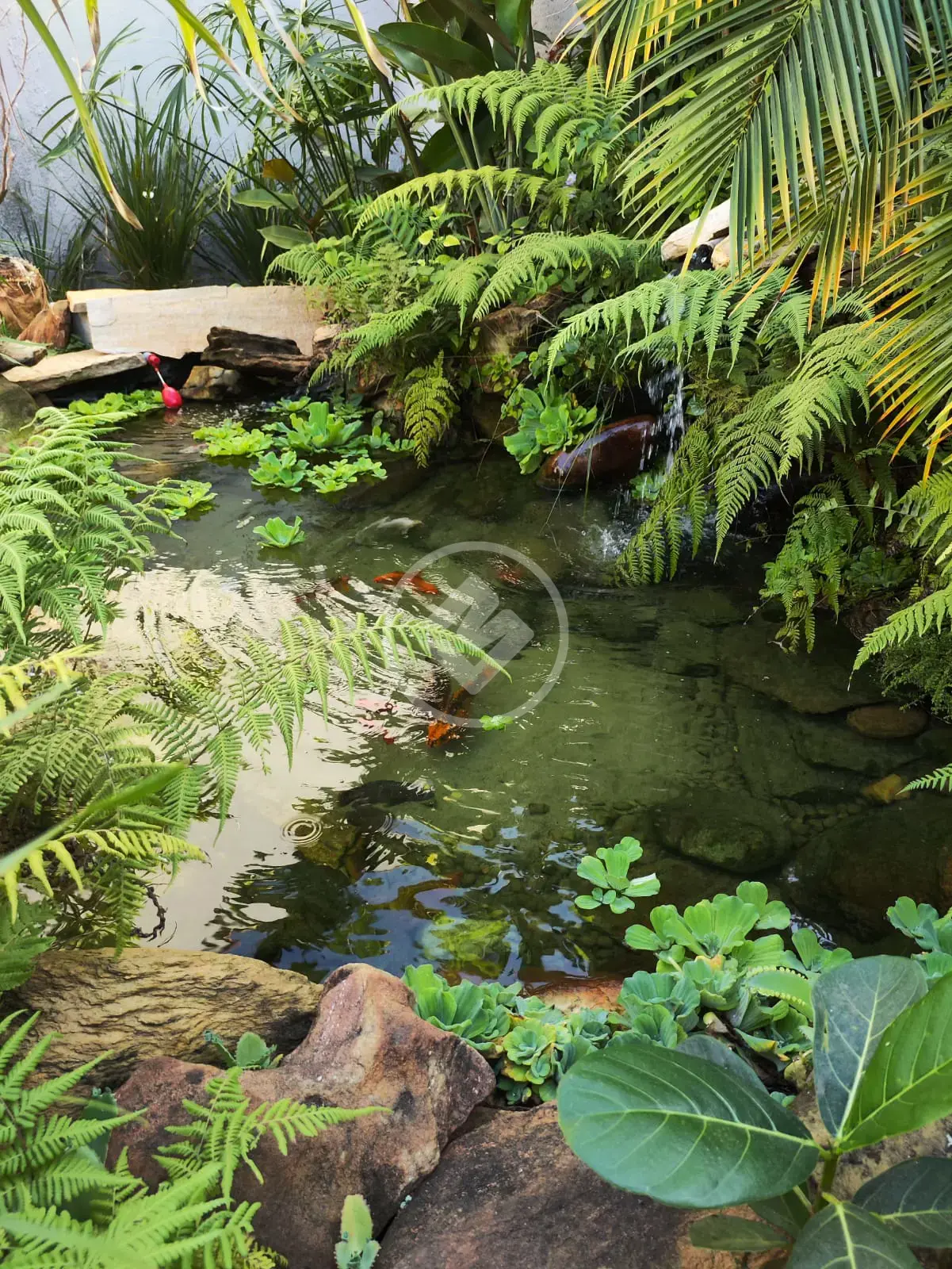 Casa Jardim Maranata, Aparecida de Goiânia - GO — foto 1