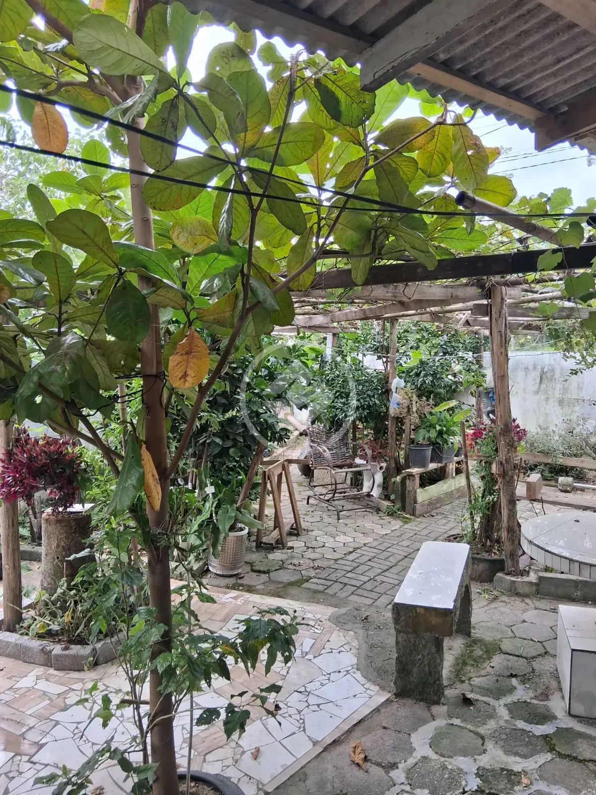 Casa Tabuleiro dos Oliveiras, Itapema - SC — foto 1