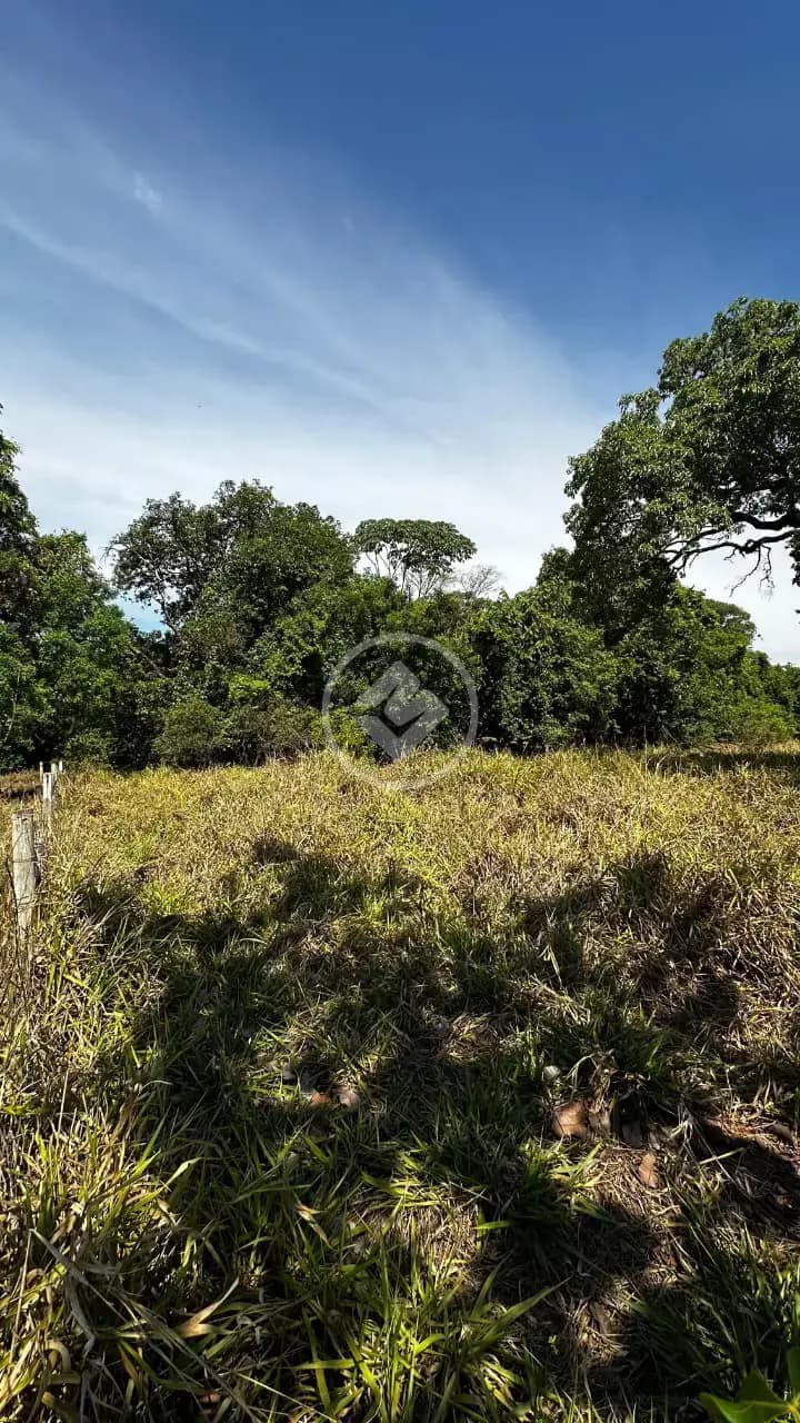 Chácara no Zona Rural, Bela Vista de Goiás — foto 5 de 6