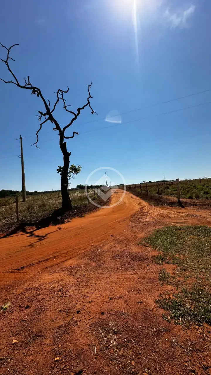 Chácara Zona Rural, Bela Vista de Goiás - GO — foto 2