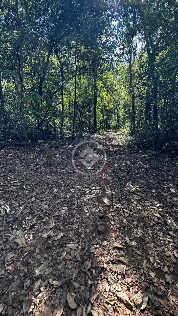 Chácara no Zona Rural, Bela Vista de Goiás — foto 6 de 6