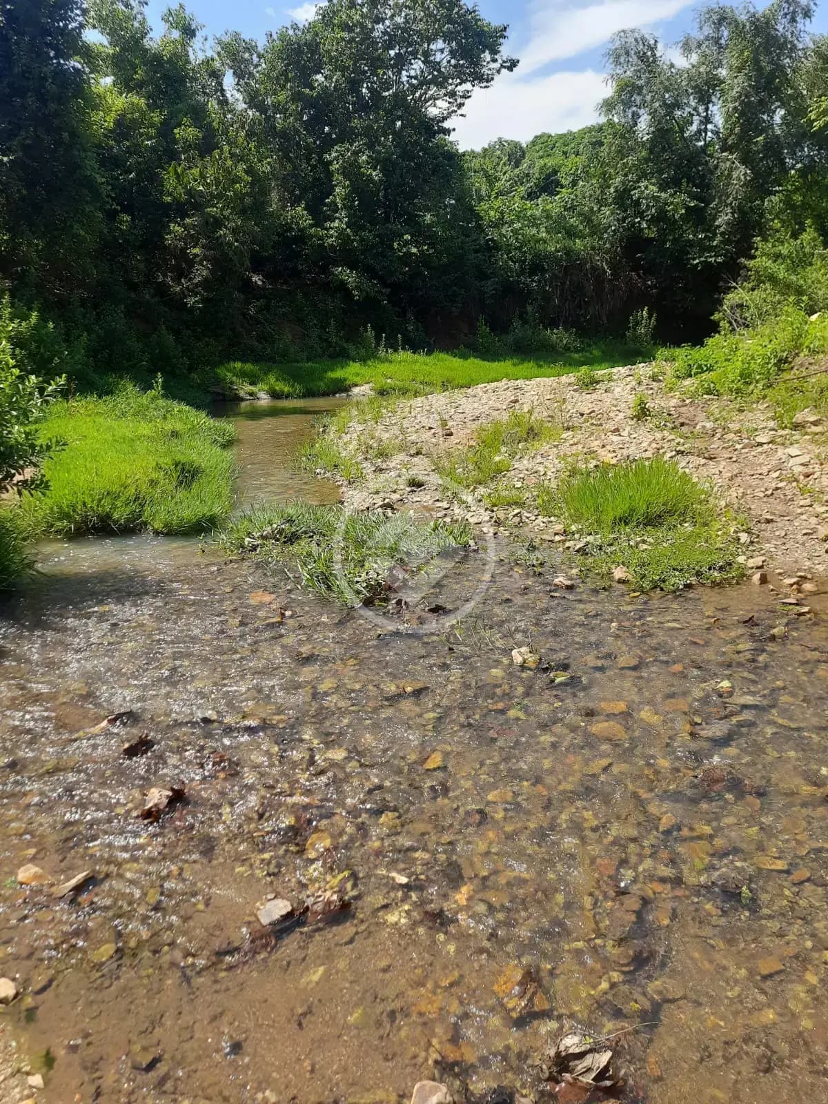 CHÁCARA A VENDA PROXÍMO A BELA VISTA DE GOIÁS