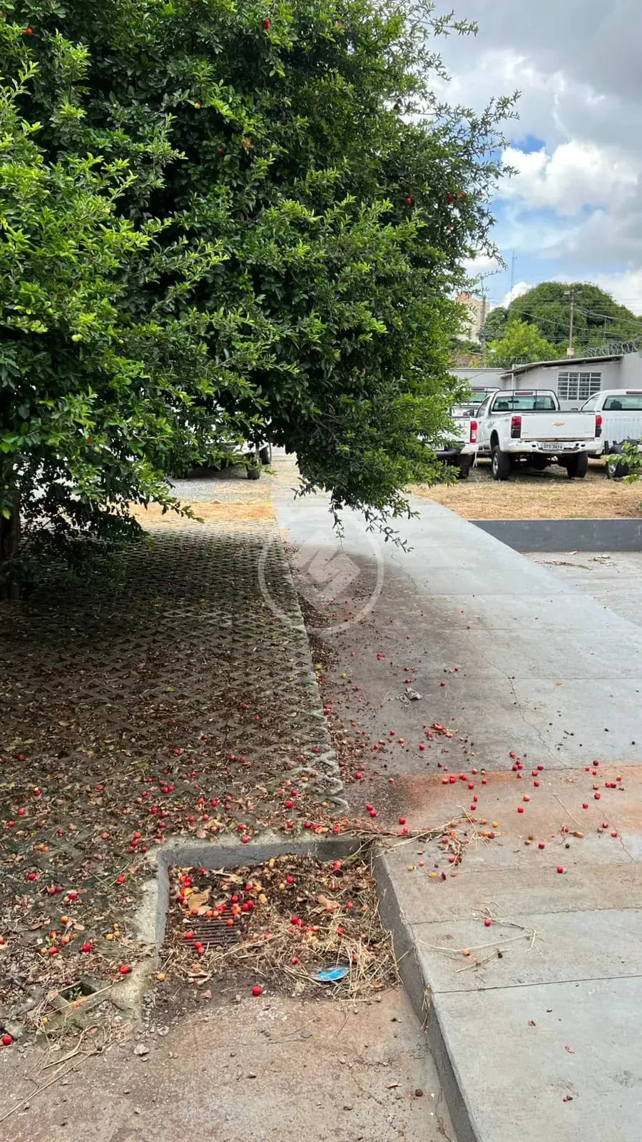 Terreno 3 quartos no Jardim Goiás - Área I, Goiânia — foto 6 de 6