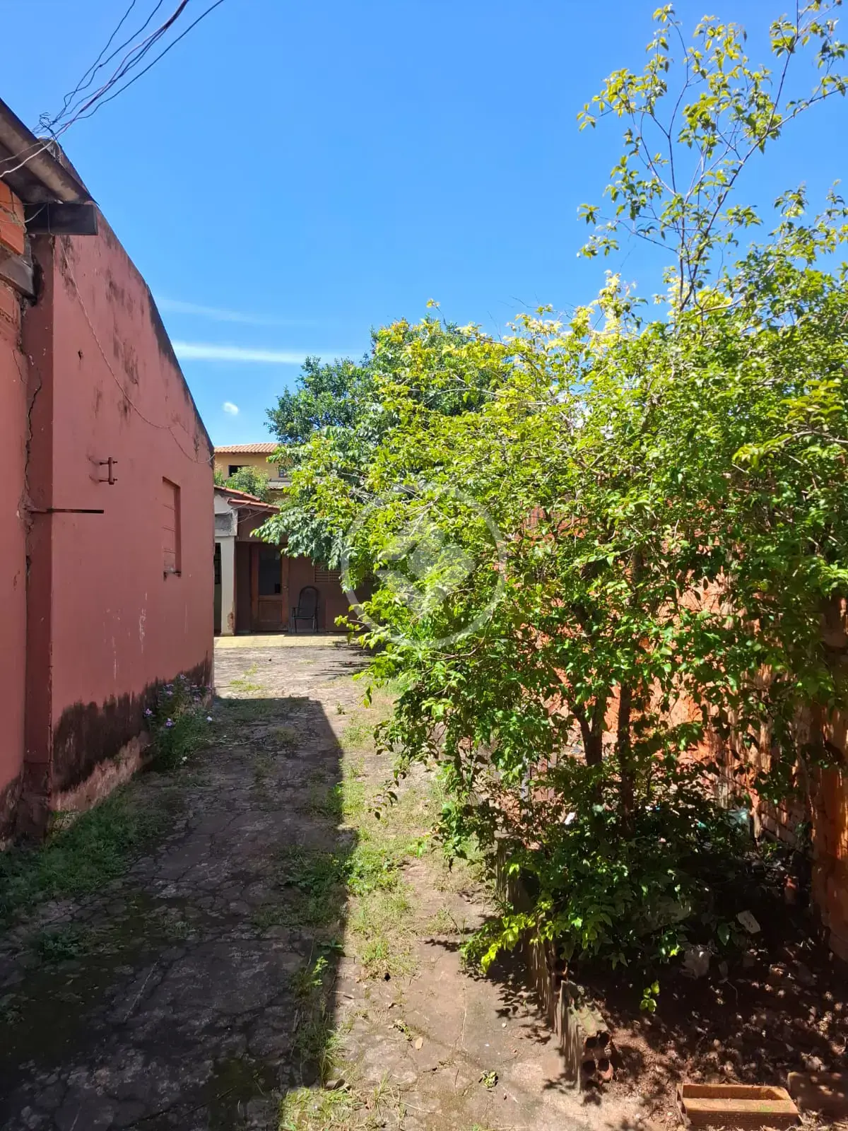 Casa 5 quartos no Setor Criméia Oeste, Goiânia — foto 6 de 6