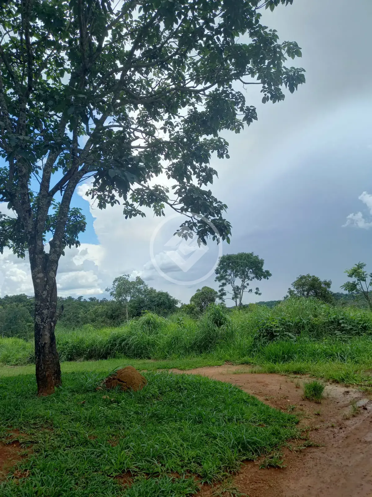 Terreno no Zona Rural, Bela Vista de Goiás — foto 3 de 6