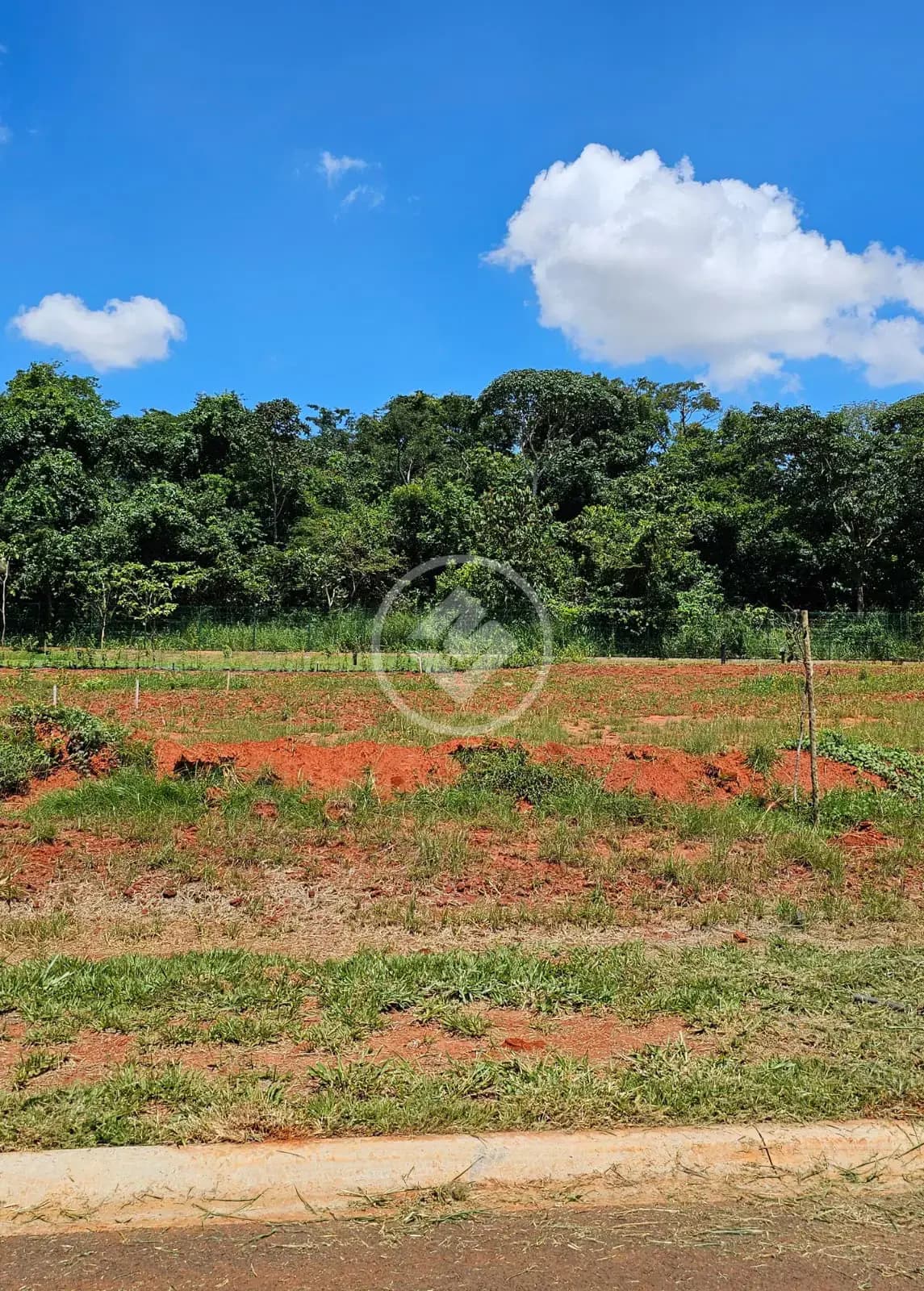 Terreno Condomínio Rodovia dos Romeiros, Trindade - GO — foto 2