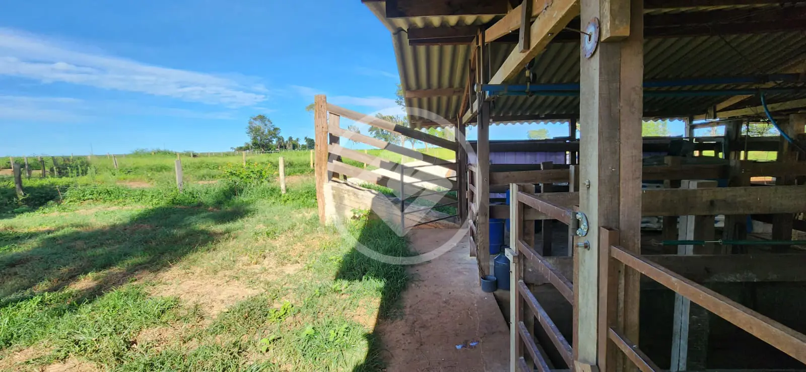 Sítio no Área Rural de Jataí, Jataí — foto 6 de 6