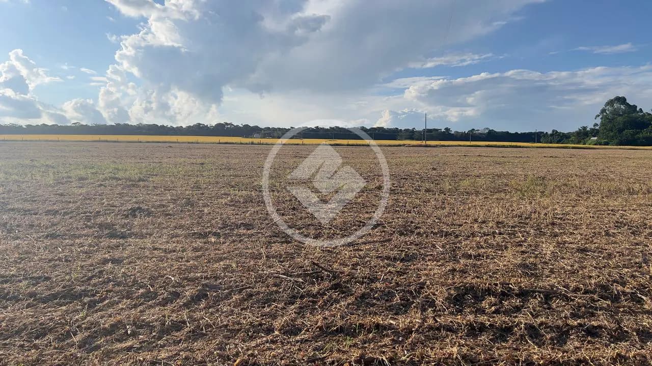 Chácara Área Rural de Jataí, Jataí - GO — foto 1