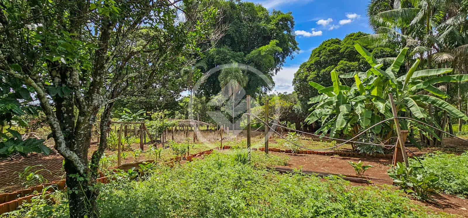 Chácara Área Rural de Jataí, Jataí - GO — foto 2
