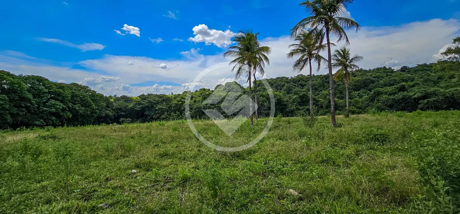 Chácara Área Rural de Jataí, Jataí - GO — foto 1