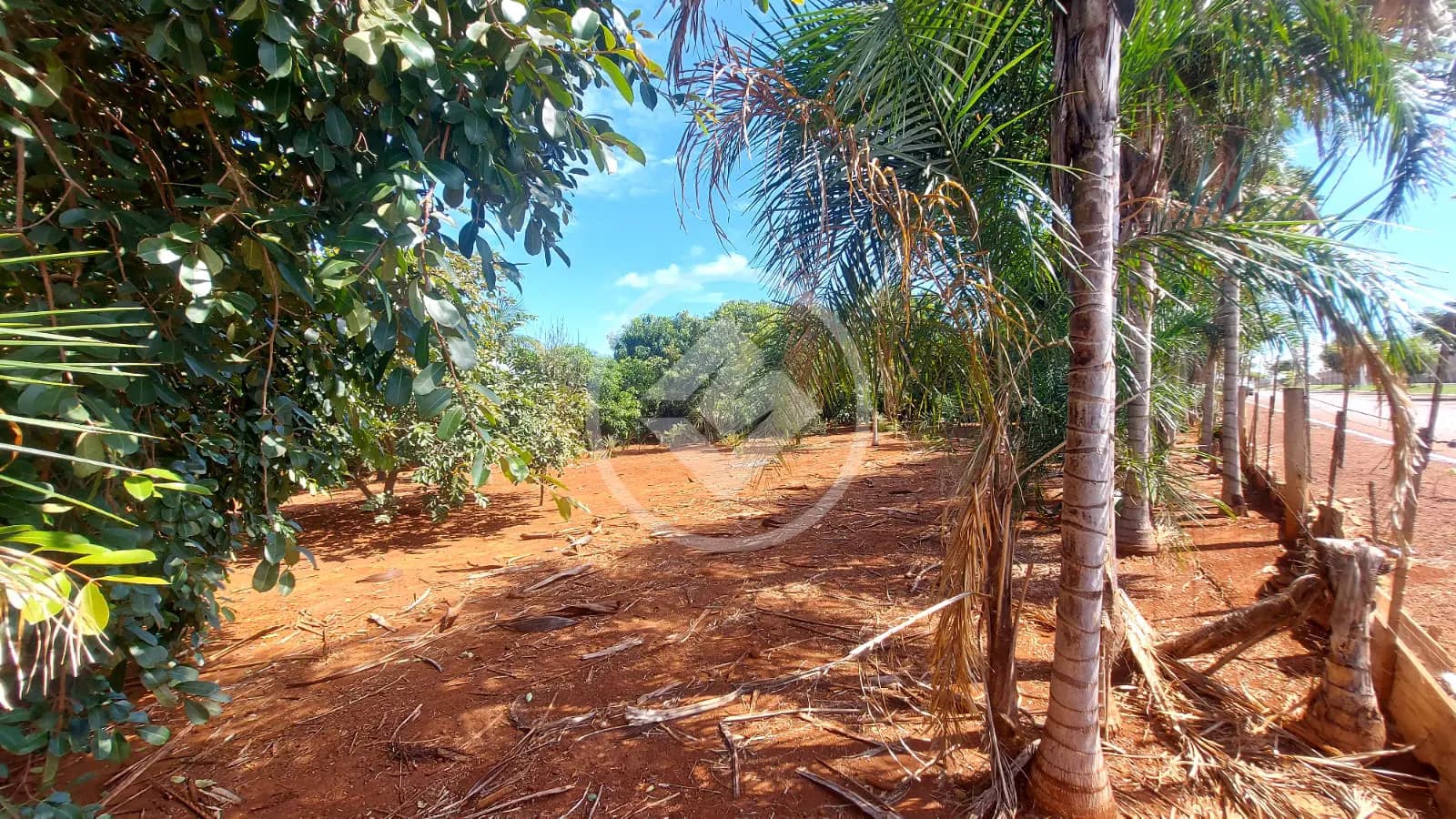 Chácara no Área Rural de Jataí, Jataí — foto 4 de 6