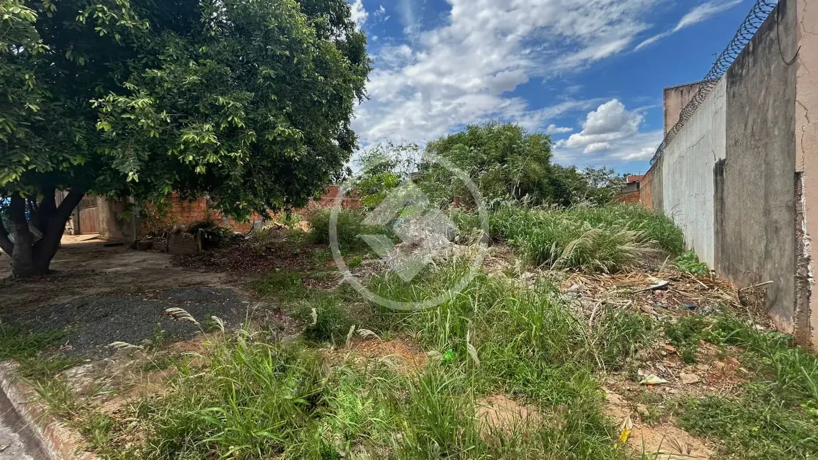 Terreno no Vila Fátima, Jataí — foto 5 de 5