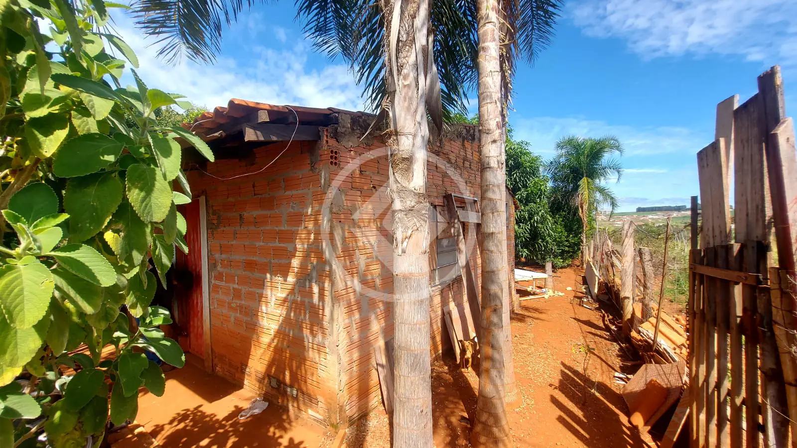 Chácara no Área Rural de Jataí, Jataí — foto 6 de 6