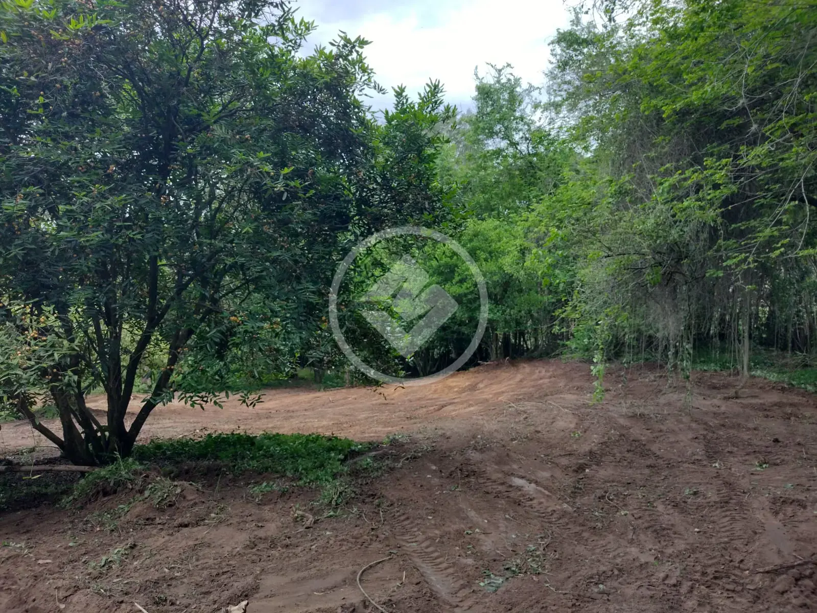 Chácara no Monterrey, Louveira — foto 6 de 6