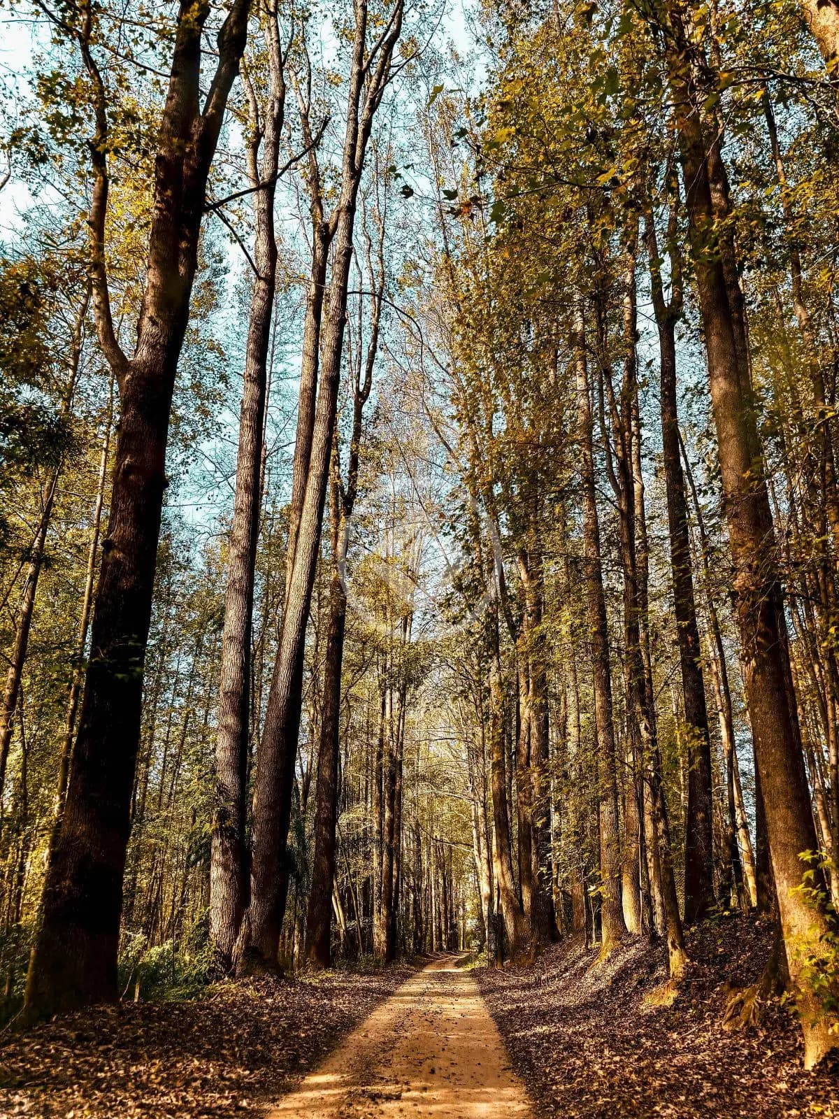 Terreno Condomínio no CAXAMBU, Jundiaí — foto 5 de 6