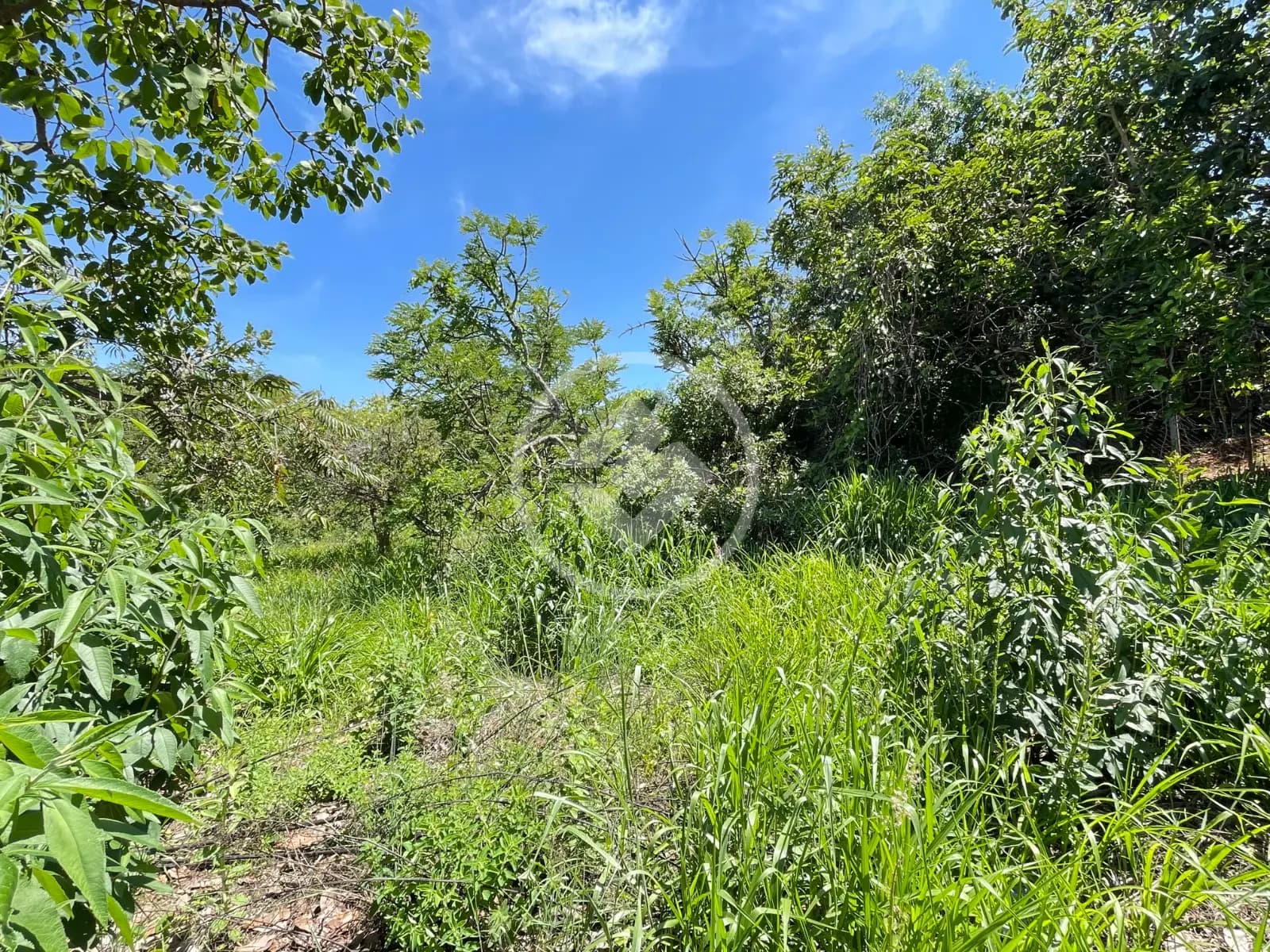 Terreno Condomínio no Mirante do Tamboril, Lagoa Santa — foto 4 de 6